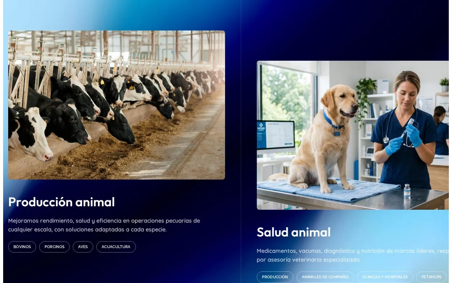 Pilares de negocio de Grupac: producción animal y salud animal